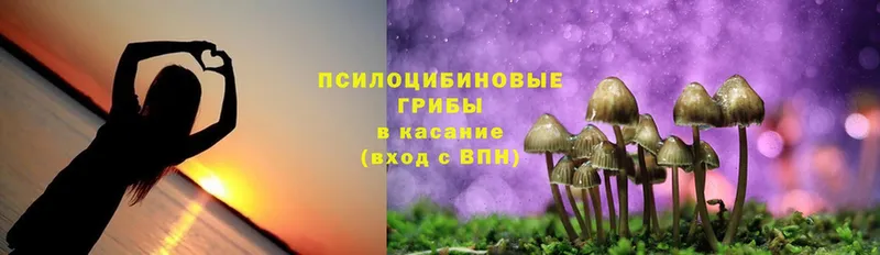 Галлюциногенные грибы MAGIC MUSHROOMS  Мегион 